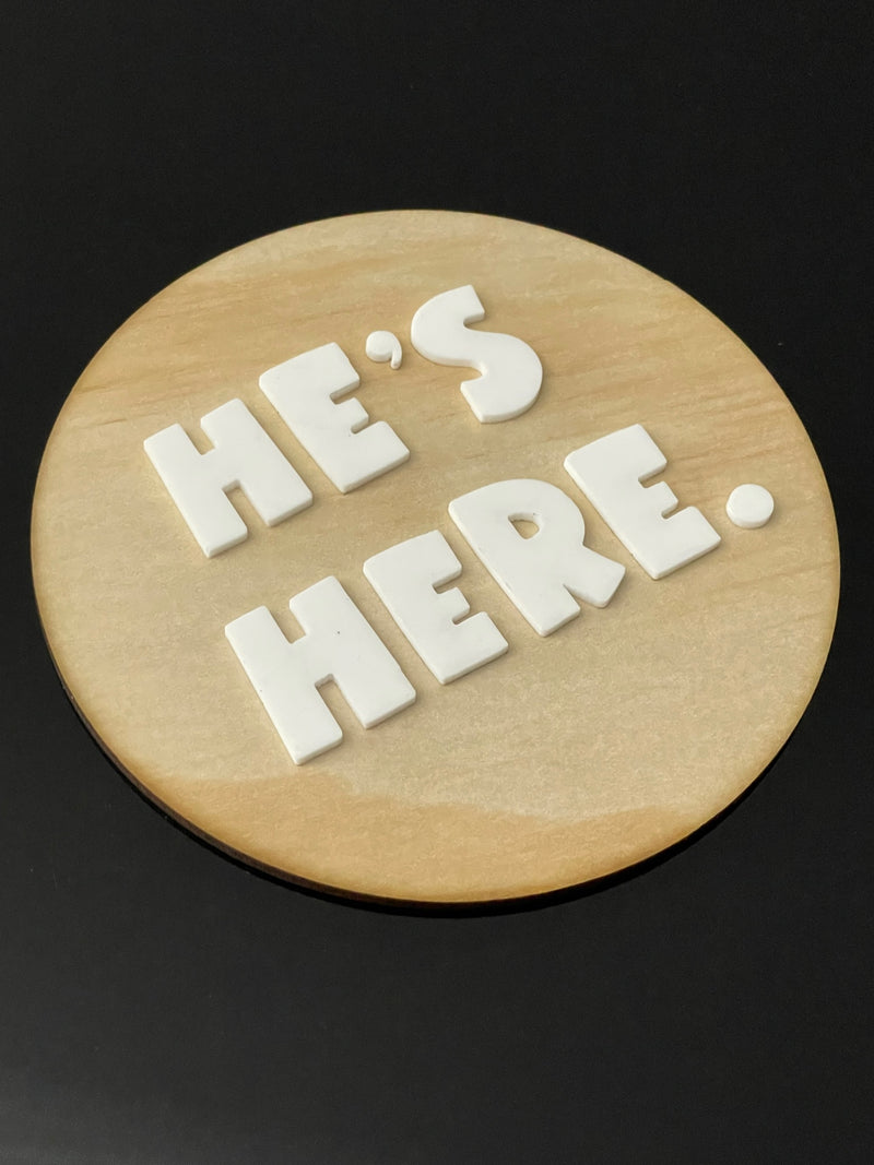 Baby Announcement Milestone Disc