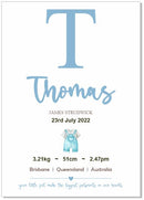 Personalised Framed Baby Boy Announcement